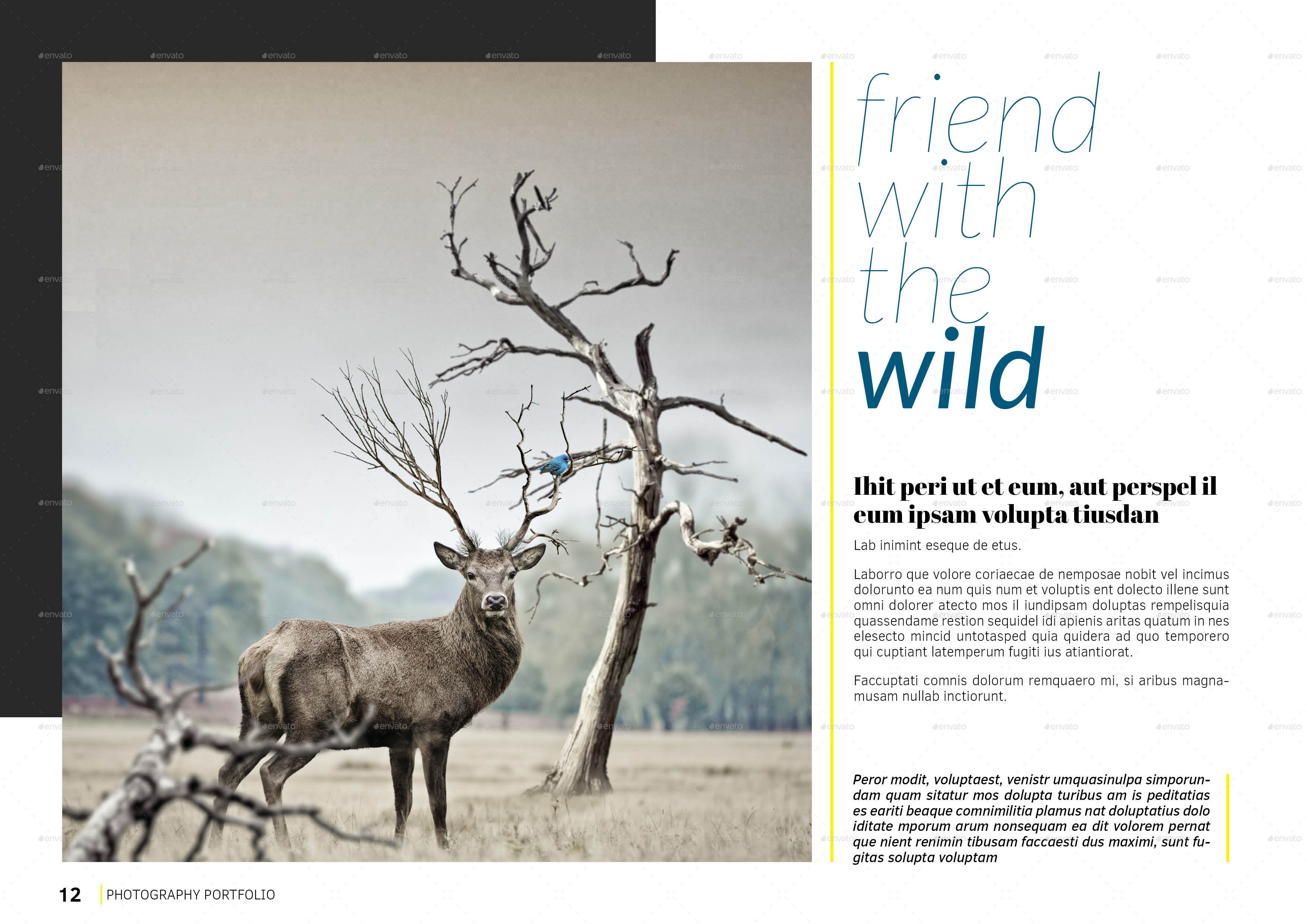 Photography Portfolio Template, Print Templates GraphicRiver